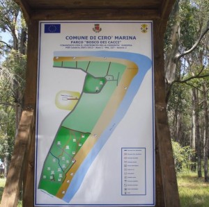 Mappa area pic-nic in Pineta a Cirò Marina