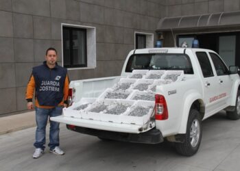 Maxi sequestro di novellame su SS106