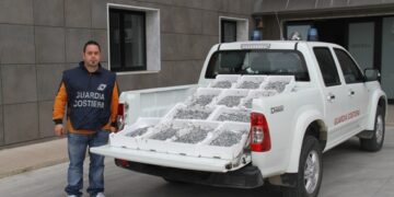 Maxi sequestro di novellame su SS106