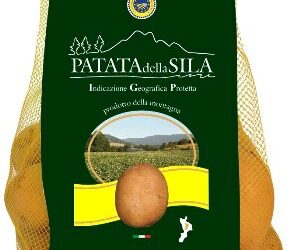 Ritornano in piazza le patate della ricerca scientifica