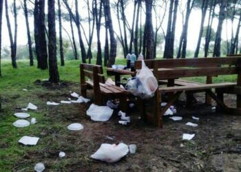 Troppi rifiuti in Pineta, il Comune non ci sta