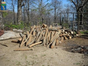 Savelli - Legna sequestrata