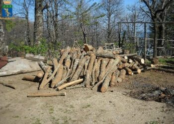 Ambiente: denunciate 5 persone tra Savelli e Castelsilano