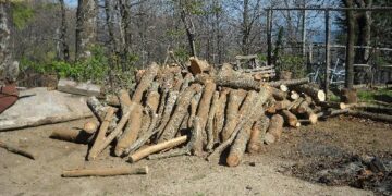 Ambiente: denunciate 5 persone tra Savelli e Castelsilano