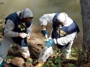 Scarichi fognari Roccabernarda direttamente nel fiume Tacina