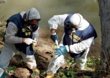 Scarichi fognari Roccabernarda direttamente nel fiume Tacina
