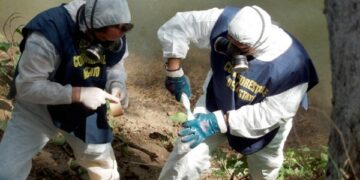 Scarichi fognari Roccabernarda direttamente nel fiume Tacina