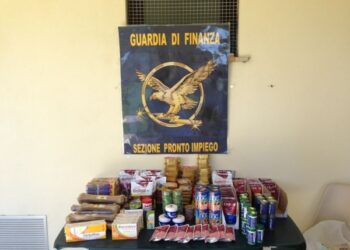 Sequestrati alimenti per animali scaduti e venduti per buoni