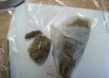 Teneva 24 grammi di marijuana in giardino, arrestato