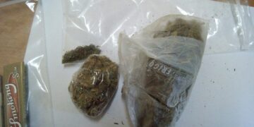 Teneva 24 grammi di marijuana in giardino, arrestato