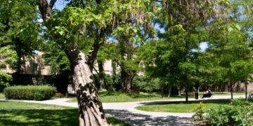 Crotone citta’ giardino, adottare gli spazi verdi