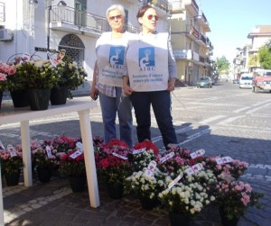 Azalee dell'AIRC in piazza a Cirò Marina