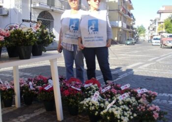Festa della mamma, in piazza le azalee dell’AIRC