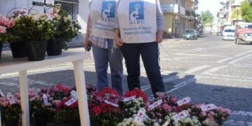 Festa della mamma, in piazza le azalee dell’AIRC