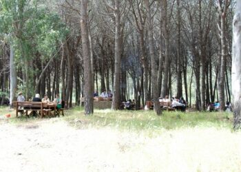 Inaugurato il ‘Bosco dei Cacci’ nella Pineta di Ciro’ Marina