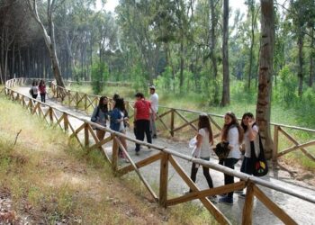 Inaugurato il ‘Bosco dei Cacci’ nella Pineta di Ciro’ Marina