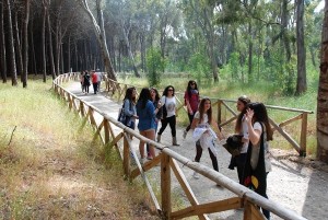 Inaugurazione 'Bosco dei Cacci' a Cirò Marina (57)