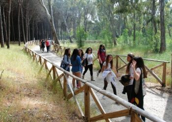 Inaugurato il ‘Bosco dei Cacci’ nella Pineta di Ciro’ Marina