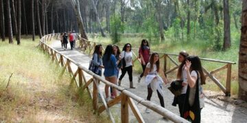 Inaugurato il ‘Bosco dei Cacci’ nella Pineta di Ciro’ Marina