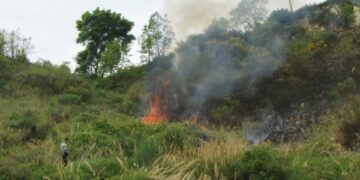 Incendio a Cotronei, forestale individua responsabile
