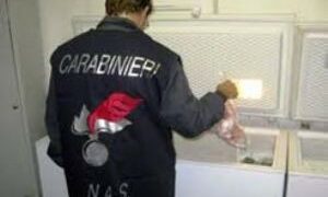 Nas, controlli nelle mense scolastiche a Roccabernarda