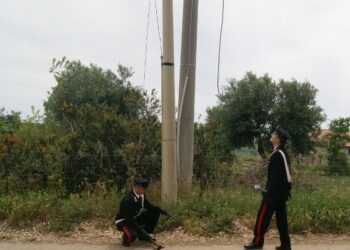 Rubava cavi di rame Telecom, arrestato 25enne isolitano