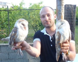 Salvati due Barbagianni a Ciro' Marina