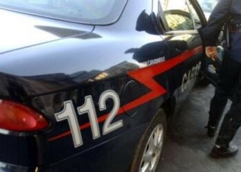 Giovane coppia arrestata a Rossano, spacciavano e coltivavano marijuana in balcone