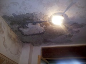 degrado alle 'case popolari' di Briatico (5)