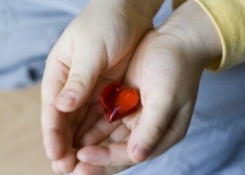 Giornata Nazionale delle donazioni a Crotone