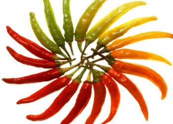 Il buono della Calabria per la prevenzione e cura delle malattie