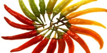 Il buono della Calabria per la prevenzione e cura delle malattie