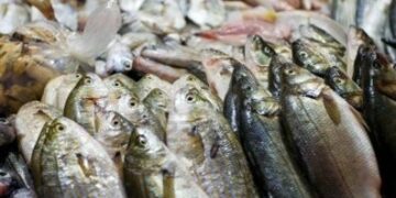 Inizia a Crotone il tour calabrese del ‘Buonpescato italiano’