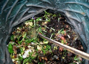 Al via la raccolta dell’umido a San Giovanni in Fiore