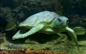 A come Avventura a Isola Capo Rizzuto