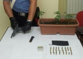 Armi e droga, in manette 42enne di Scandale
