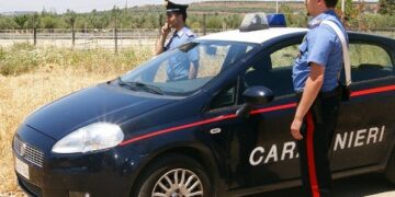 Ruba cavallo da circo e chiede 4mila euro per riconsegnarlo