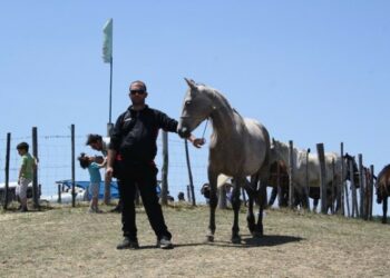 Fiera Ronza, preservare dna evento identitario