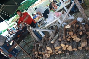 Fiera Ronza 2013 a Campana (2)