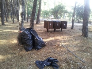 I'M ripulisce la Pineta di Ciro' Marina (6)