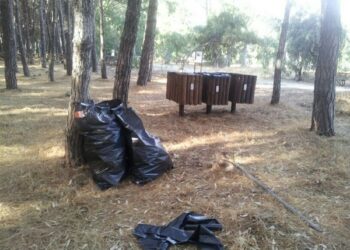 Associazione I’M ripulisce la Pineta di Ciro’ Marina