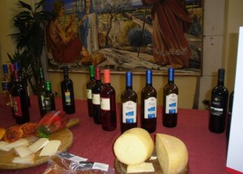 Il comune di Ciro’ Marina presenta ufficialmente l’AperiDoc