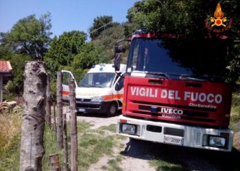 In fiamme macchia mediterranea nel catanzarese