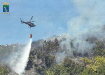 Macchia mediterranea in fiamme a Santa Severina, denunciato 40enne