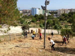 Interventi a Parco Pignera