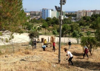 Insieme per salvare Parco Pignera