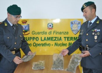 Marijuana in auto, in manette pusher lametino