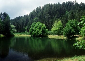 Parco Sila, nuova struttura per i visitatori a Trepido’