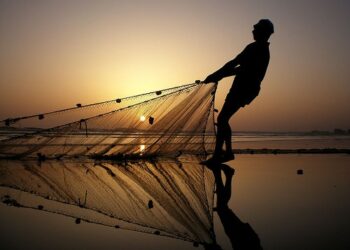 Al via la Festa del Mare nella Costa dei cedri
