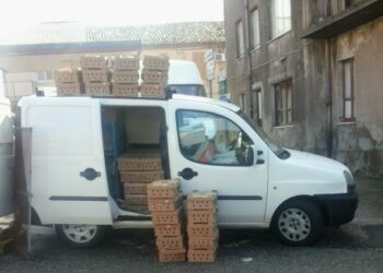 Guardie Ecozoofile scoprono discarica abusiva di rifiuti speciali